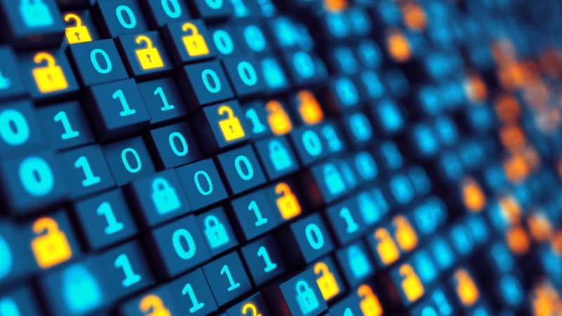 阳新县软件开发:以硬核实力,筑工业数字基石